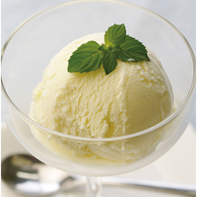 最大46%OFFクーポン 冷凍食品 業務用 バニラアイスクリーム 2L アイスクリーム 104077 人気商品 デザート トッピング ミルク