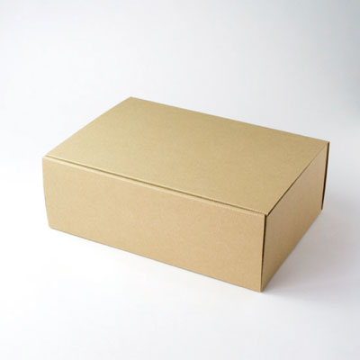 ＥＥ－５２５　お好みボックス　クラフト　長方　６ 1袋（10個入）ヤマニパッケージ ギフトBOX