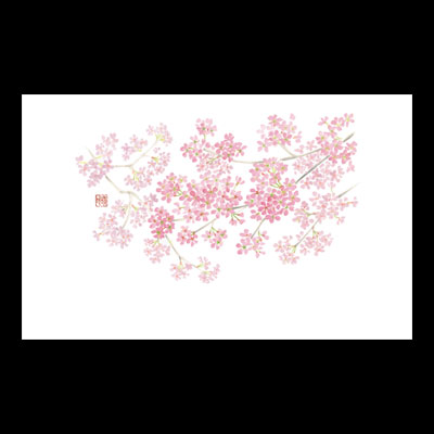 テーブルマット尺３＃３２０　桜満開