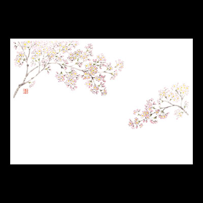 テーブルマット尺５＃１２５９　桜