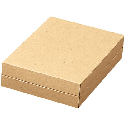 エースカートン　＃２４１６－（５．８） 1ケース（100個入）パッケージ中澤 ギフトBOX